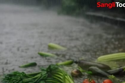 Islampur Heavy Rain Weekly Market Damage