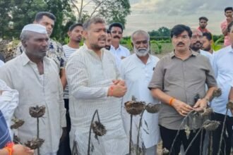 Jath Crop Loss Rain Damage 2025