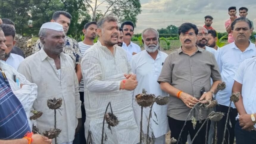 Jath Crop Loss Rain Damage 2025