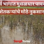 Jath Rain Crop Damage Sangli