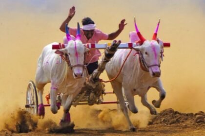 Padalkar Kesari Bailgada Sharyat 2025