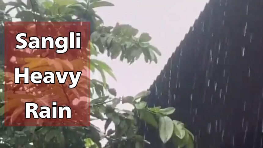 Sangli Heavy Rain 26 September 2025