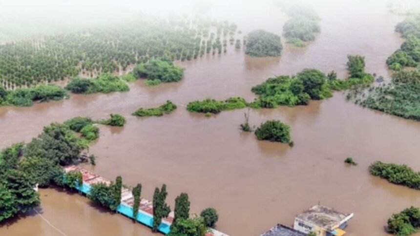 Sangli MP Vishal Patil Marathwada Flood Relief Appeal