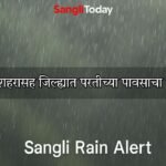 Sangli Rain Crop Damage 27 September 2025