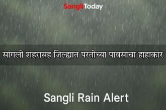 Sangli Rain Crop Damage 27 September 2025