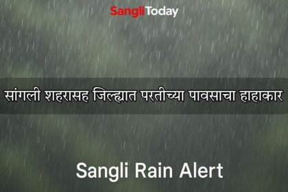 Sangli Rain Crop Damage 27 September 2025