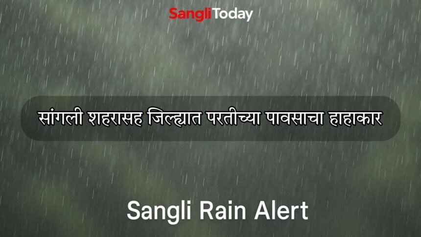 Sangli Rain Crop Damage 27 September 2025