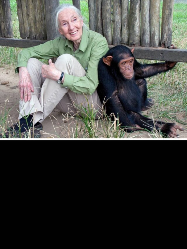 Jane Goodall Tributes – World Leaders, Celebrities & Activists Remember Her Legacy