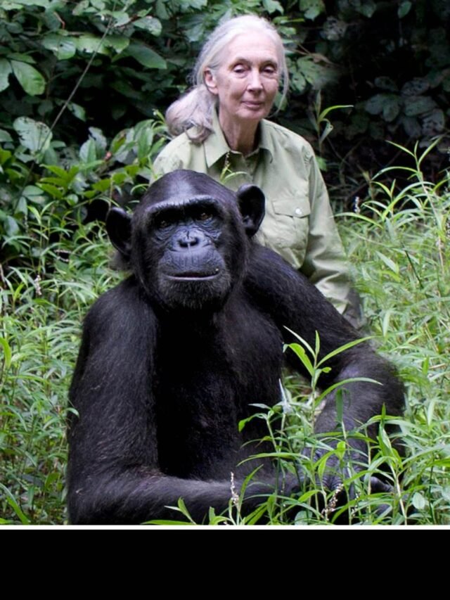 Jane Goodall: Family, Fortune & Legacy – Remembering the Chimpanzee Expert