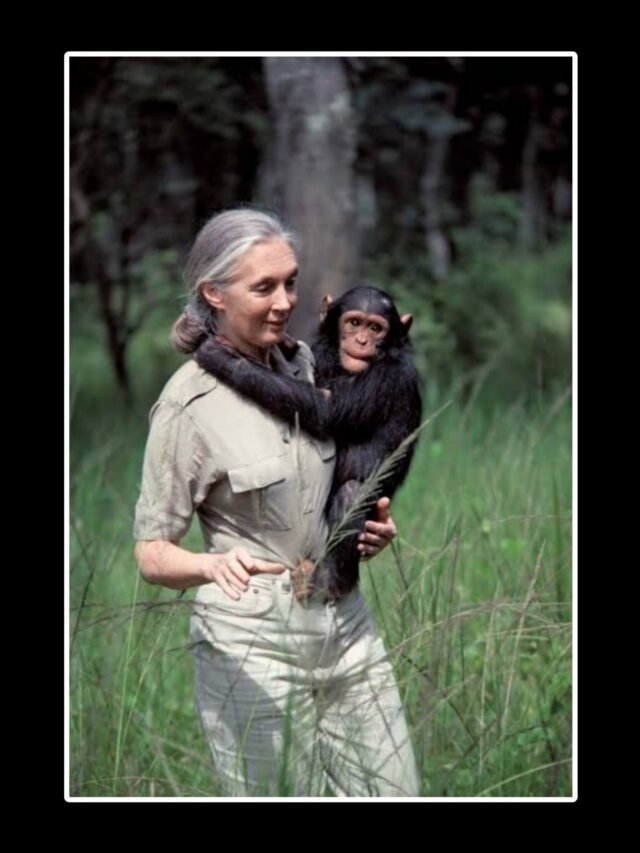 Top 5 Jane Goodall Quotes to Live By