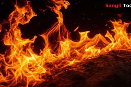 Antri Budruk House Fire Short Circuit Shirala Sangli