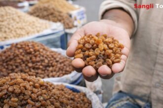 China Raisins Import Sangli Tasgaon Market