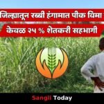 Sangli District Rabi Crop Insurance Low Response 2025