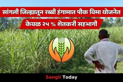 Sangli District Rabi Crop Insurance Low Response 2025