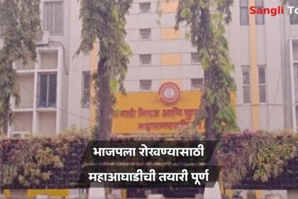 Sangli Municipal Election Maha Aghadi Seat Sharing Update