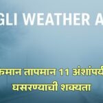 Sangli Weather Alert Cold Wave Agriculture Advisory