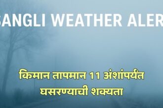 Sangli Weather Alert Cold Wave Agriculture Advisory