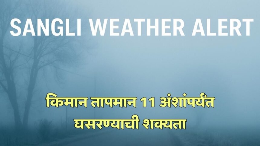 Sangli Weather Alert Cold Wave Agriculture Advisory