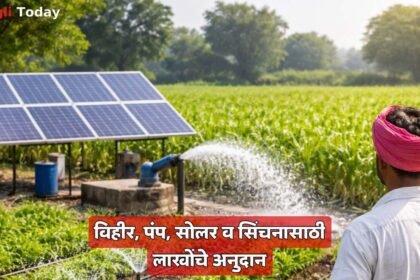 Dr Babasaheb Ambedkar Krushi Swavalamban Yojana Sangli