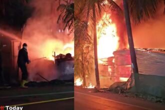 Sangli Dhamni Road Nursery Fire