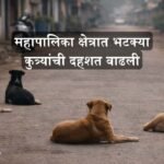 Sangli Stray Dog Issue Councillors Warning