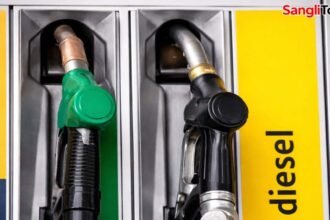 Dighanchi Petrol Pump 9 Lakh Embezzlement Atpadi