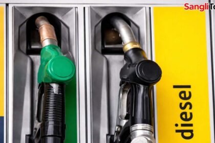 Dighanchi Petrol Pump 9 Lakh Embezzlement Atpadi