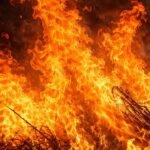 Palus Farmer Death While Burning Stubble Fire Incident