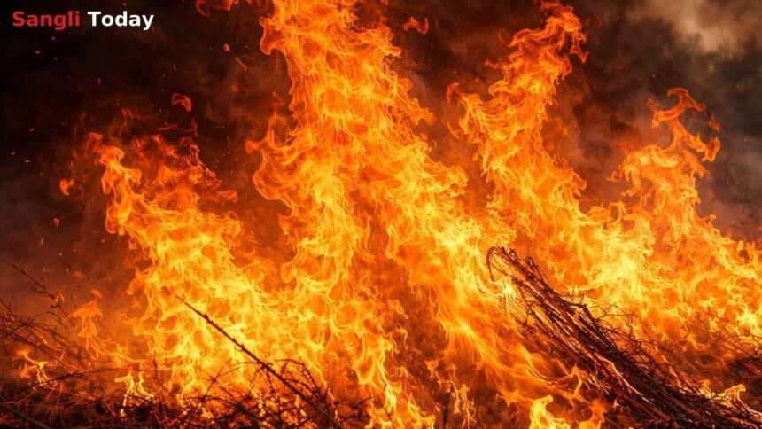Palus Farmer Death While Burning Stubble Fire Incident