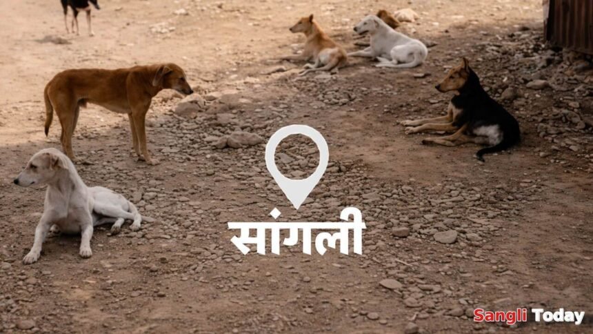 Sangli Municipal Dog Shelter Animal Carcass Incinerator Project Approval