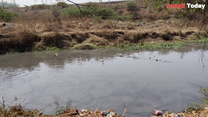 Sangli Railway Station Front Drain Water Stagnation Ward 9 Public Issue