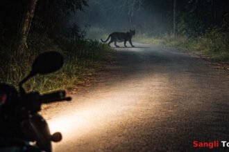 Shirala Walwa Leopard Attack