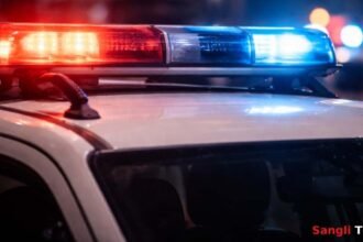 Walwa Karve Fake Kidnapping Mother Hoax 2026