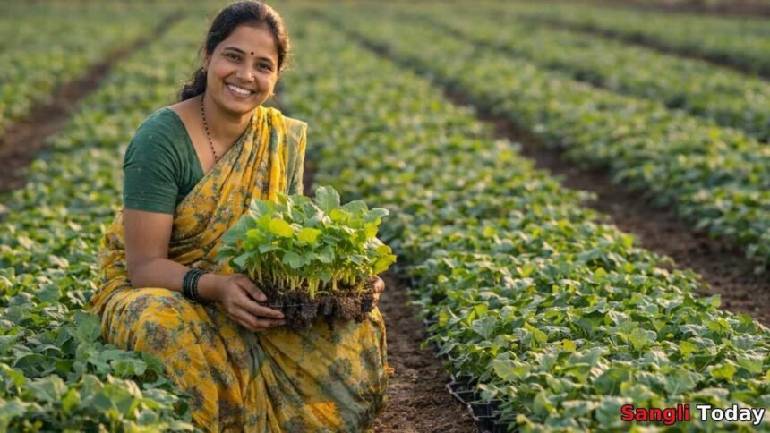 Ahilyadevi Holkar Ropvatika Yojana Sangli