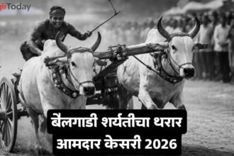 Amdar Kesari Bailgadi Sharyat 2026 Balwadi Khanapur Sangli