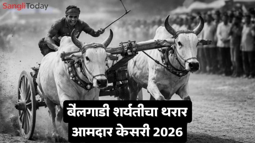 Amdar Kesari Bailgadi Sharyat 2026 Balwadi Khanapur Sangli