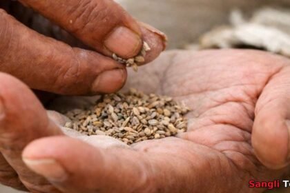 Jat Gutkha Seizure 27-58 Lakh Truck Seized