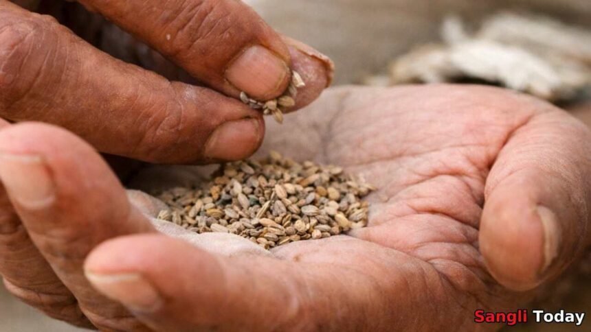 Jat Gutkha Seizure 27-58 Lakh Truck Seized