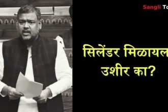 Sangli MP Vishal Patil Raises Gas Issue Parliament