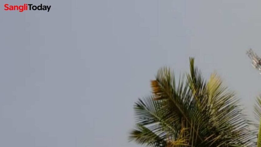 Sangli Rain Alert Next 3 Hours