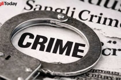 Shiralaa Khurd Sarpanch Pati Dairy Attack Iron Rod