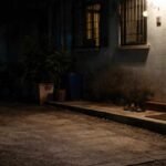 Walwa Bike Theft Splendor Stolen