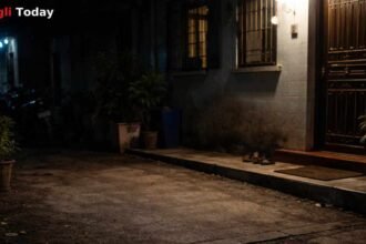 Walwa Bike Theft Splendor Stolen