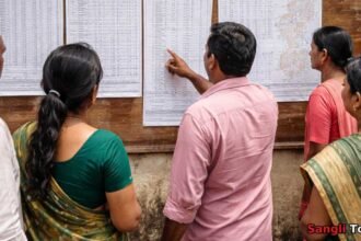 Sangli Gram Panchayat Ward Structure Objection