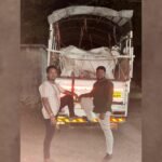 Shirol Khillar Bulls Rescued Bolero Pickup Seized