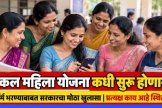 After Ladki Bahin Yojana Ekal Mahila Yojana Maharashtra Gr Application Form Status Update