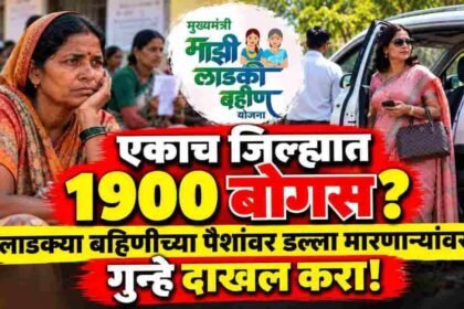 Ladki Bahin Yojana Bogus Beneficiary Scam Reality Recovery Action