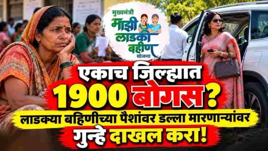 Ladki Bahin Yojana Bogus Beneficiary Scam Reality Recovery Action