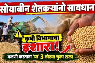 Maharashtra Soybean Seed Storage Krushi Vibhag Advisory