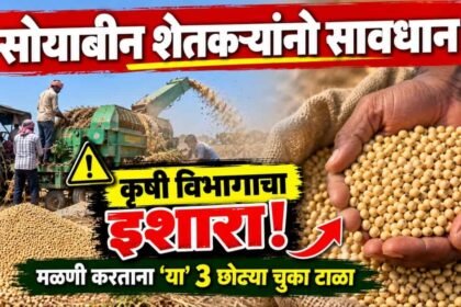 Maharashtra Soybean Seed Storage Krushi Vibhag Advisory